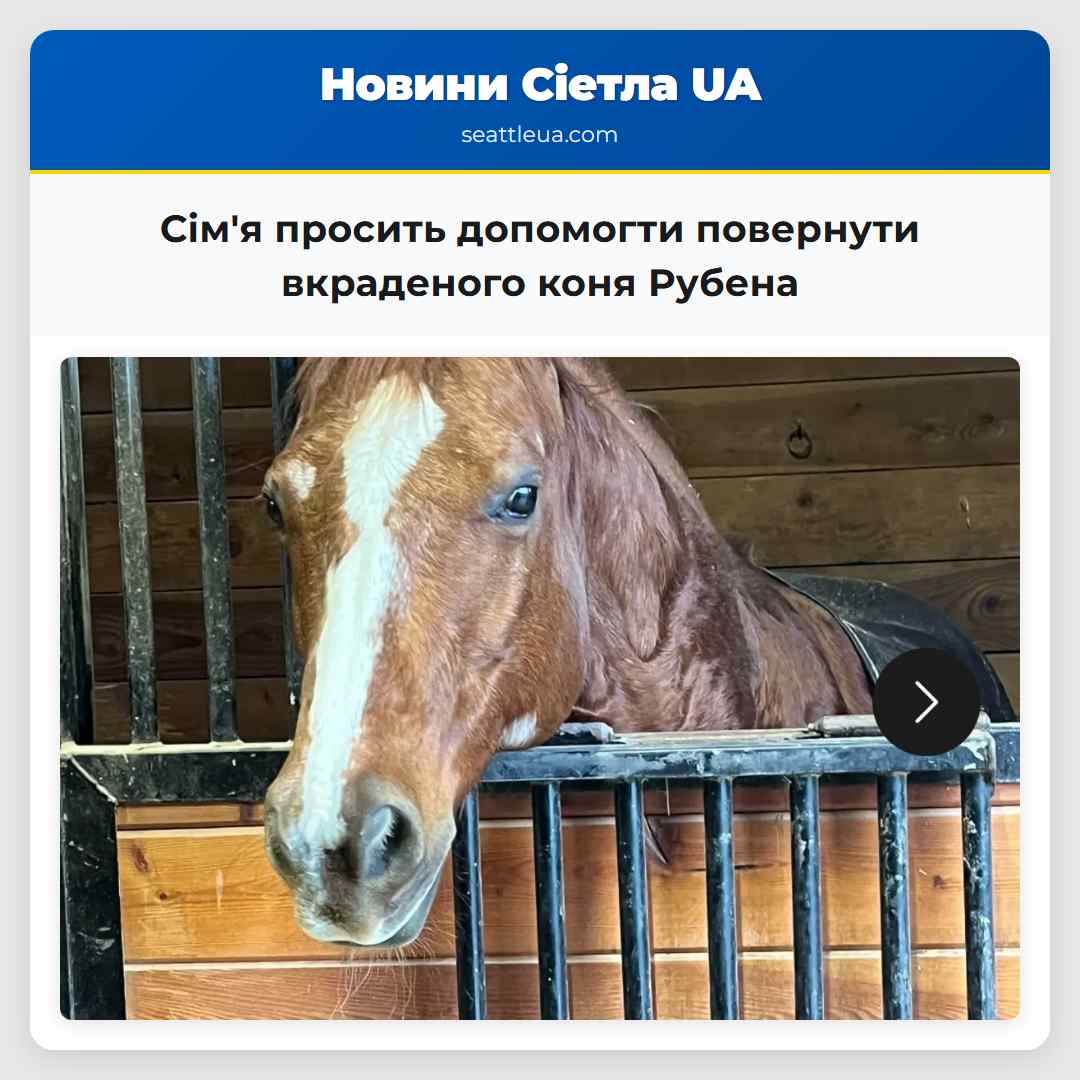 Сім'я просить допомогти повернути вкраденого коня