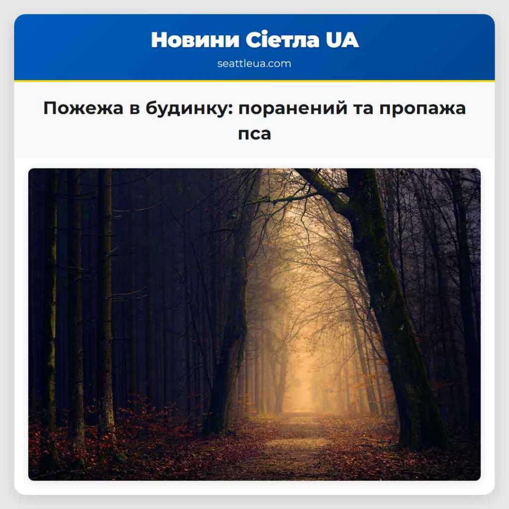 Пожежа в будинку: поранений та пропажа пса