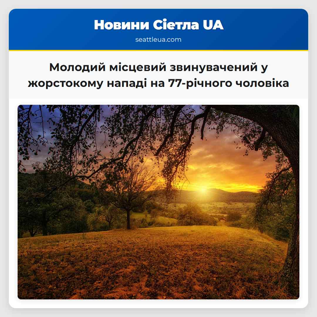 Молодий місцевий звинувачений у жорстокому нападі на 77-річного чоловіка