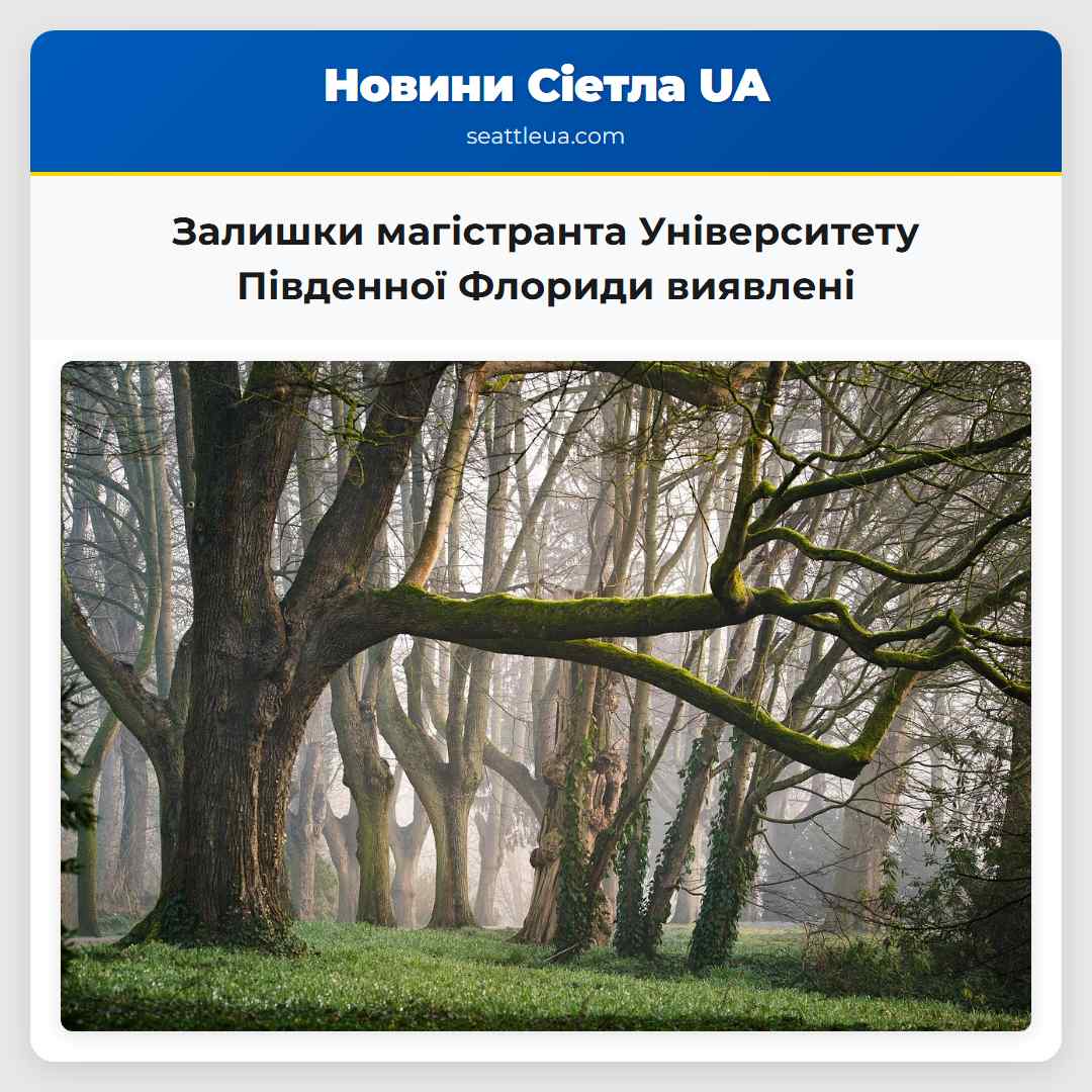 Залишки магістранта Університету Південної
