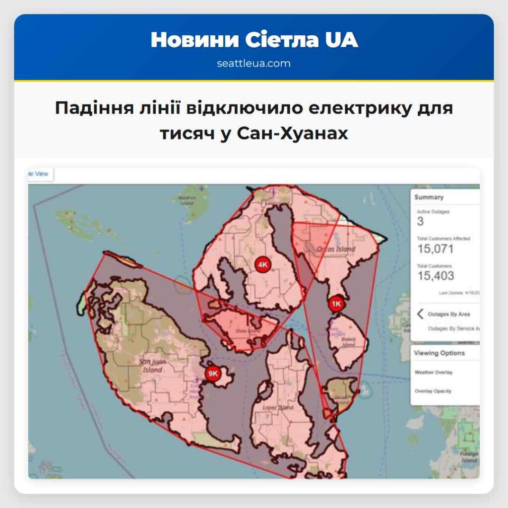 Падіння лінії відключило електрику для тисяч у