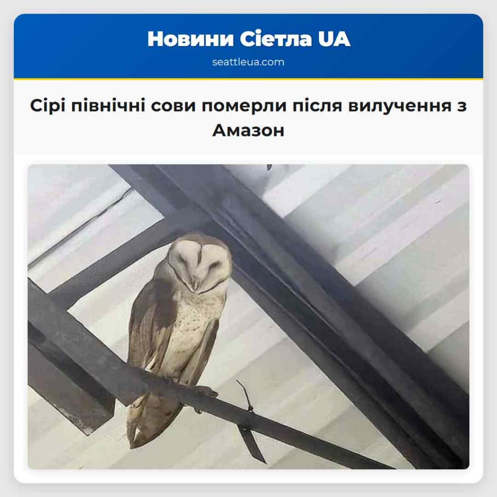 Сірі північні сови померли після вилучення з