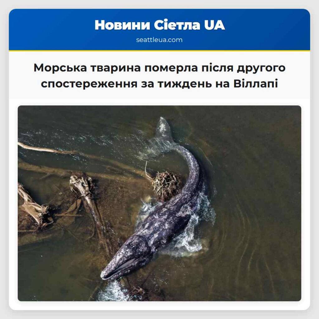 Морська тварина померла після другого