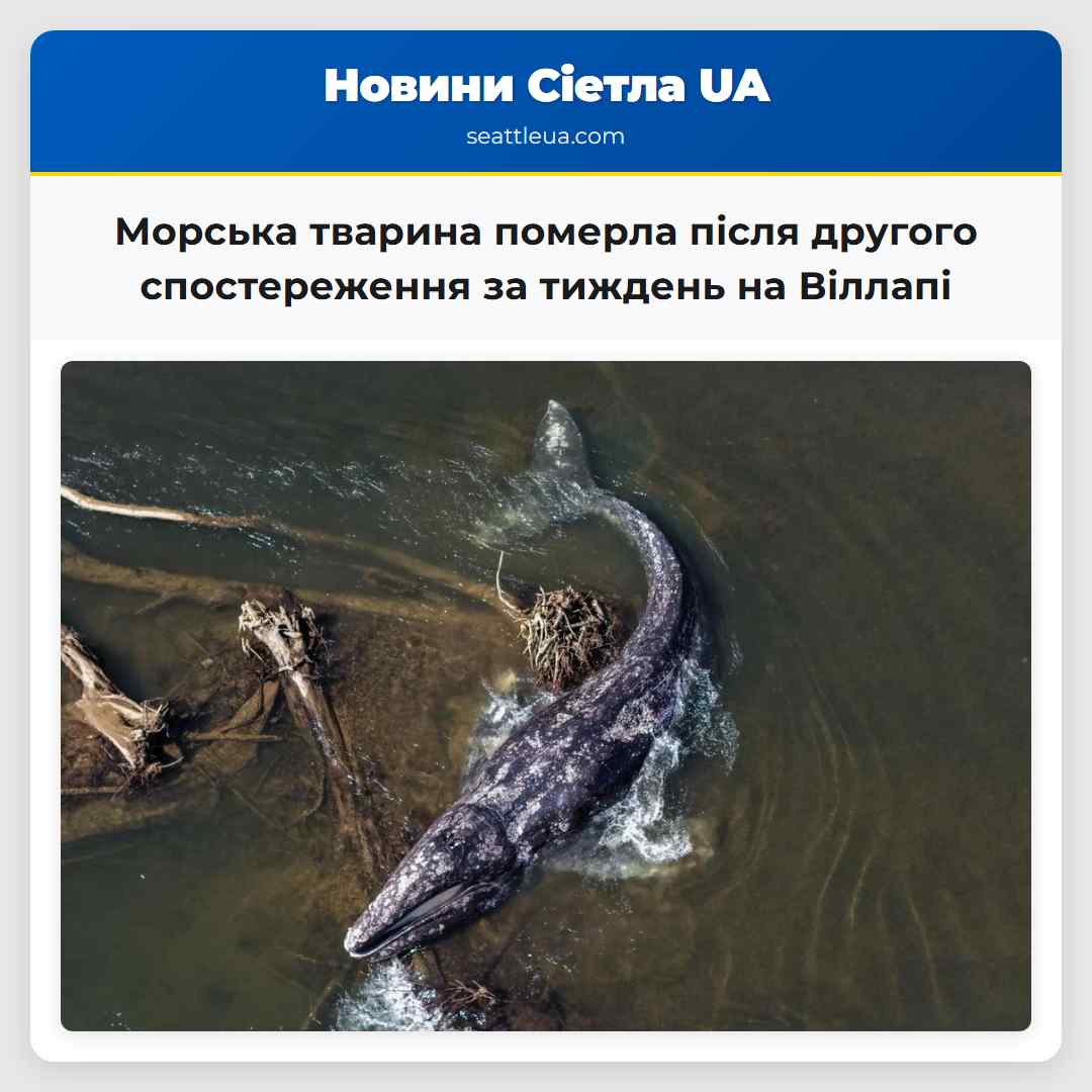 Морська тварина померла після другого