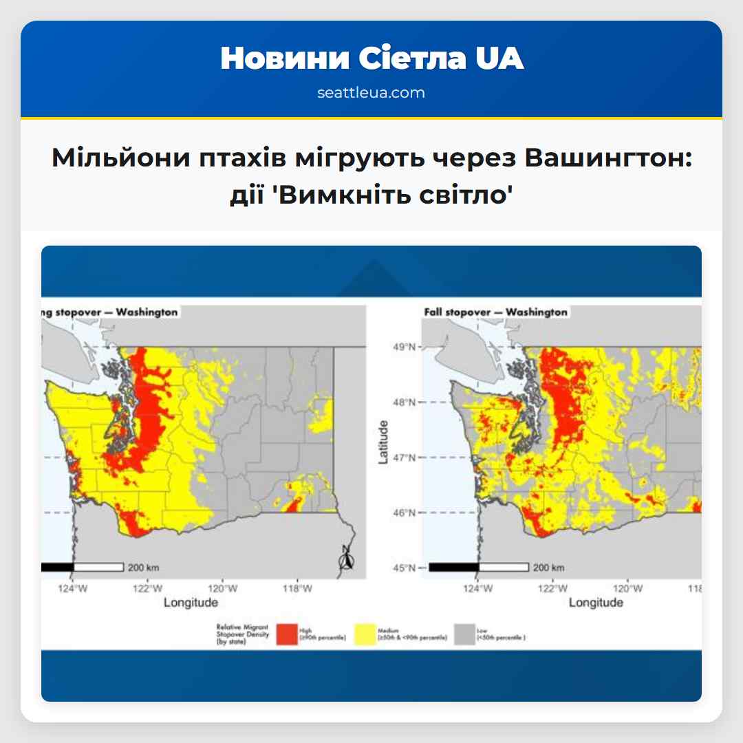 Мільйони птахів мігрують через Вашингтон: дії