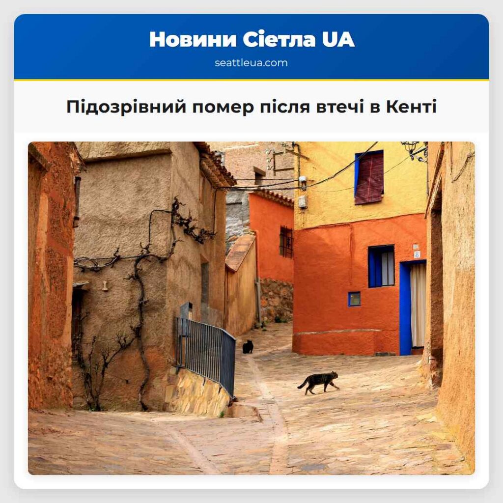 Підозрівний помер після втечі в Кенті