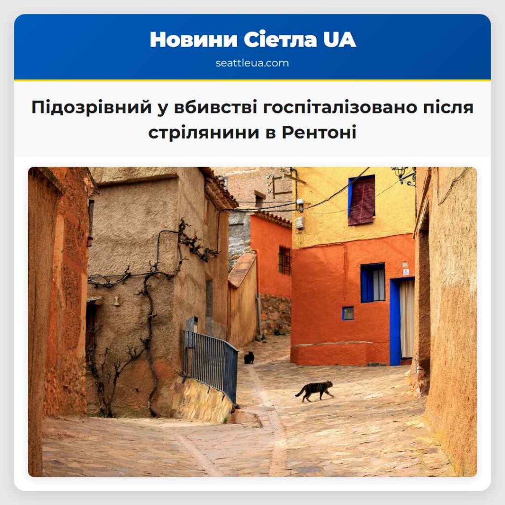 Підозрівний у вбивстві госпіталізовано після