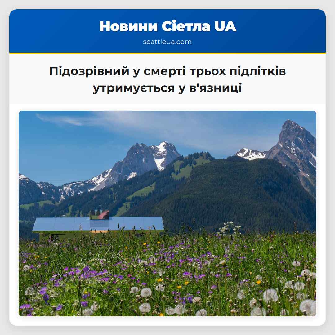 Підозрівний у смерті трьох підлітків утримується у вязниці