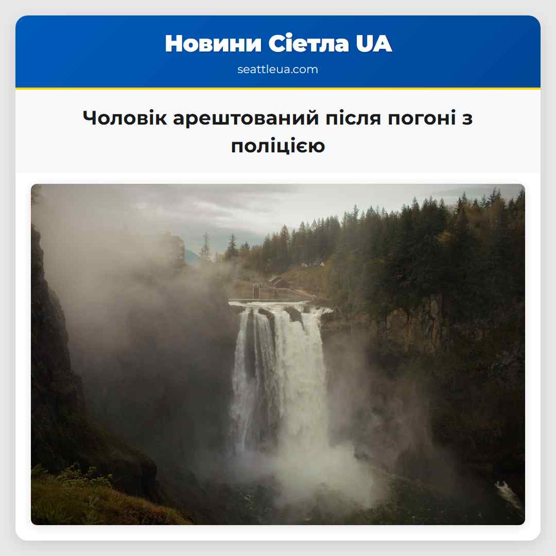Чоловік арештований після погоні з поліцією
