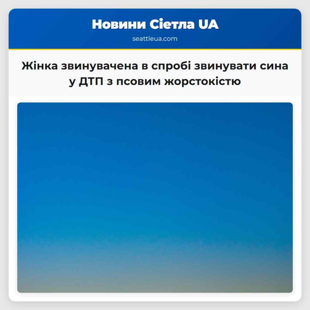 Жінка звинувачена в спробі звинувати сина у ДТП з