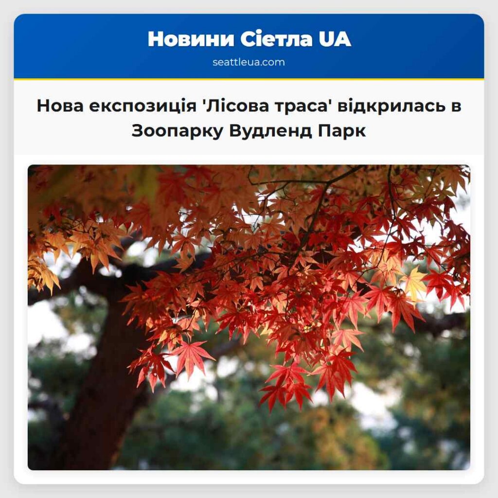 Нова експозиція 'Лісова траса' відкрилась в