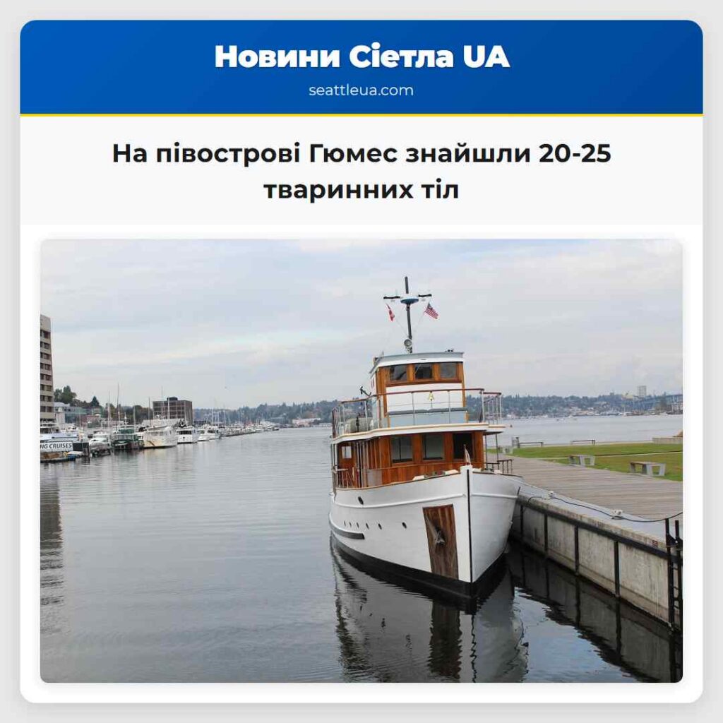 На півострові Гюмес знайшли 20-25 тваринних тіл