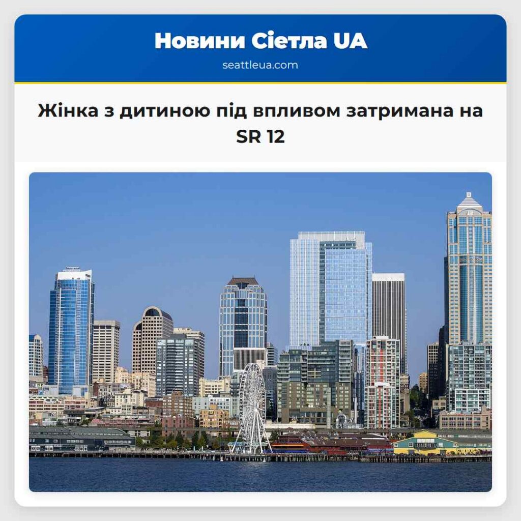 Жінка з дитиною під впливом затримана на SR 12