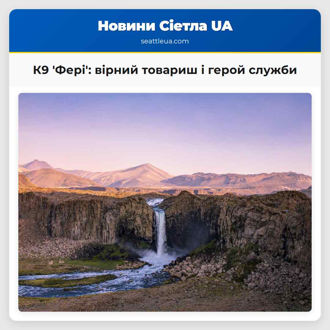 К9 'Фері': вірний товариш і герой служби