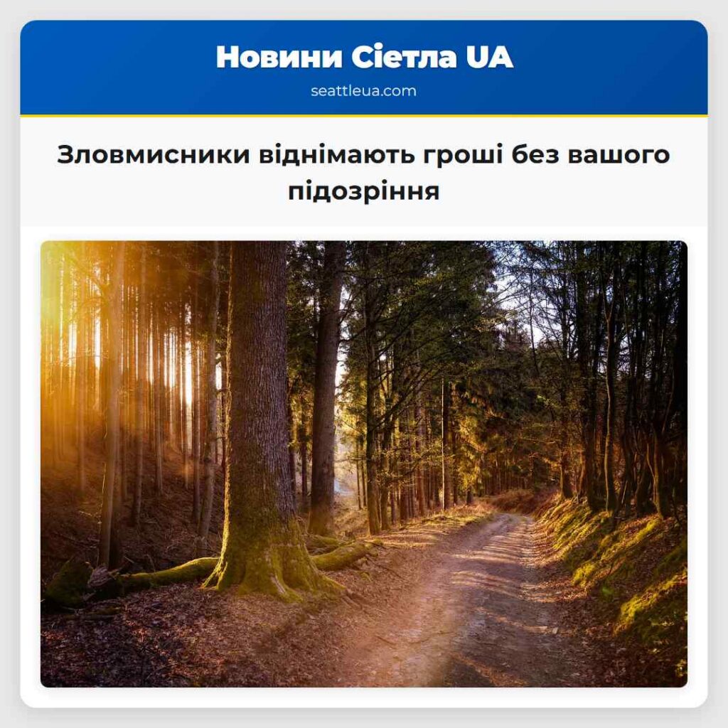 Зловмисники віднімають гроші без вашого підозріння