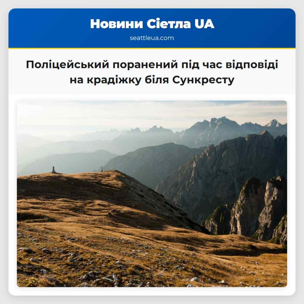 Поліцейський поранений під час відповіді на