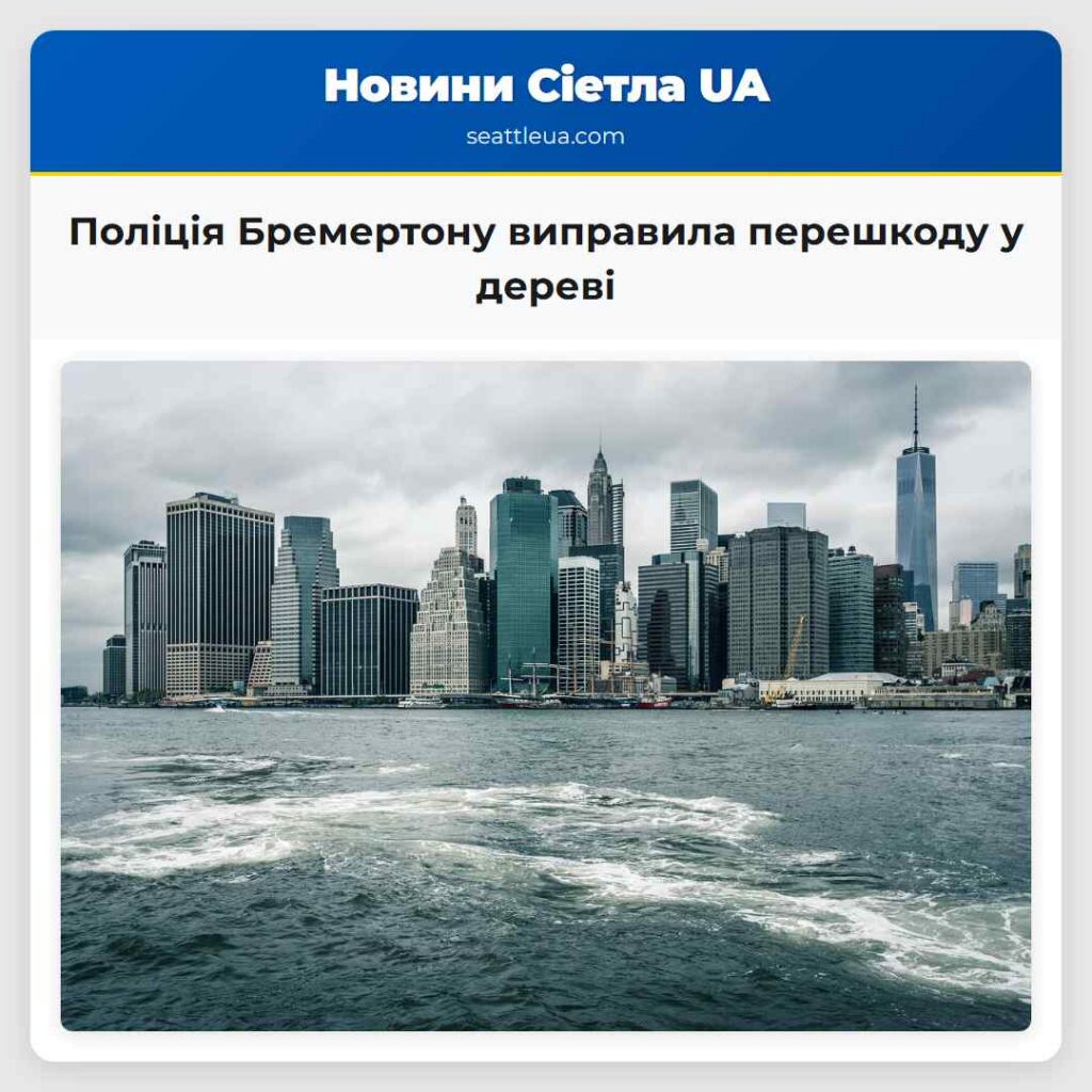 Поліція Бремертону виправила перешкоду у дереві