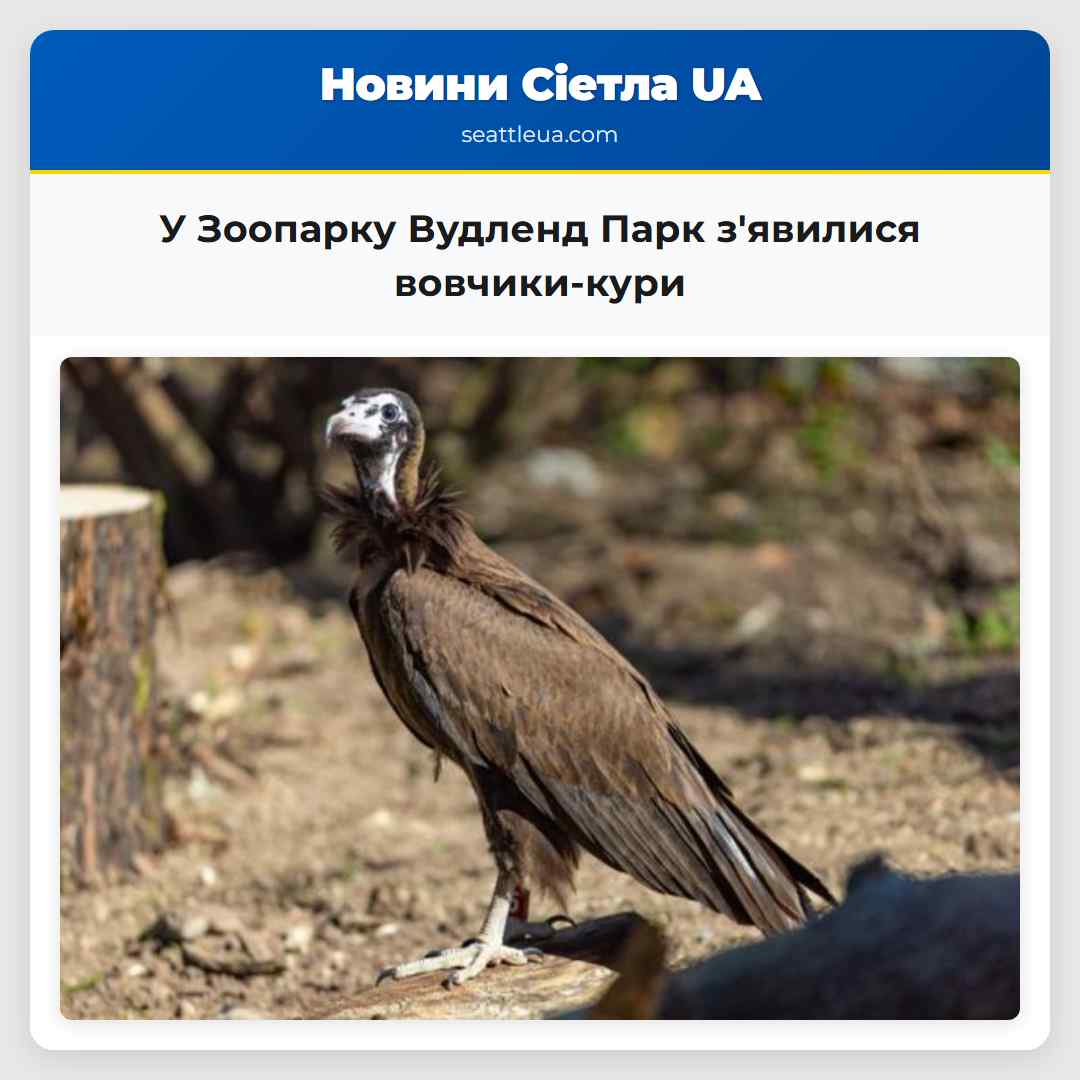 У Зоопарку Вудленд Парк з'явилися вовчики-кури