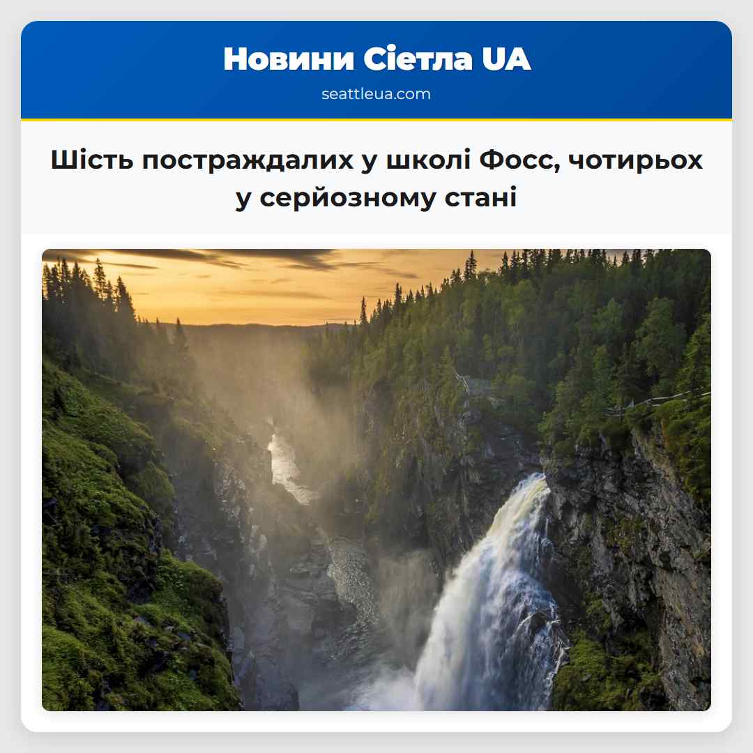 Шість постраждалих у школі Фосс чотирьох у серйозному стані
