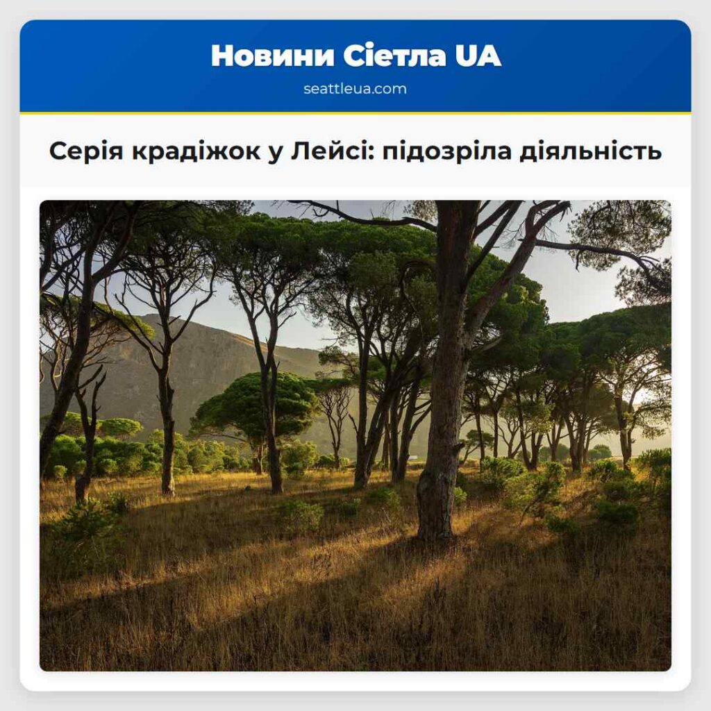 Серія крадіжок у Лейсі: підозріла діяльність
