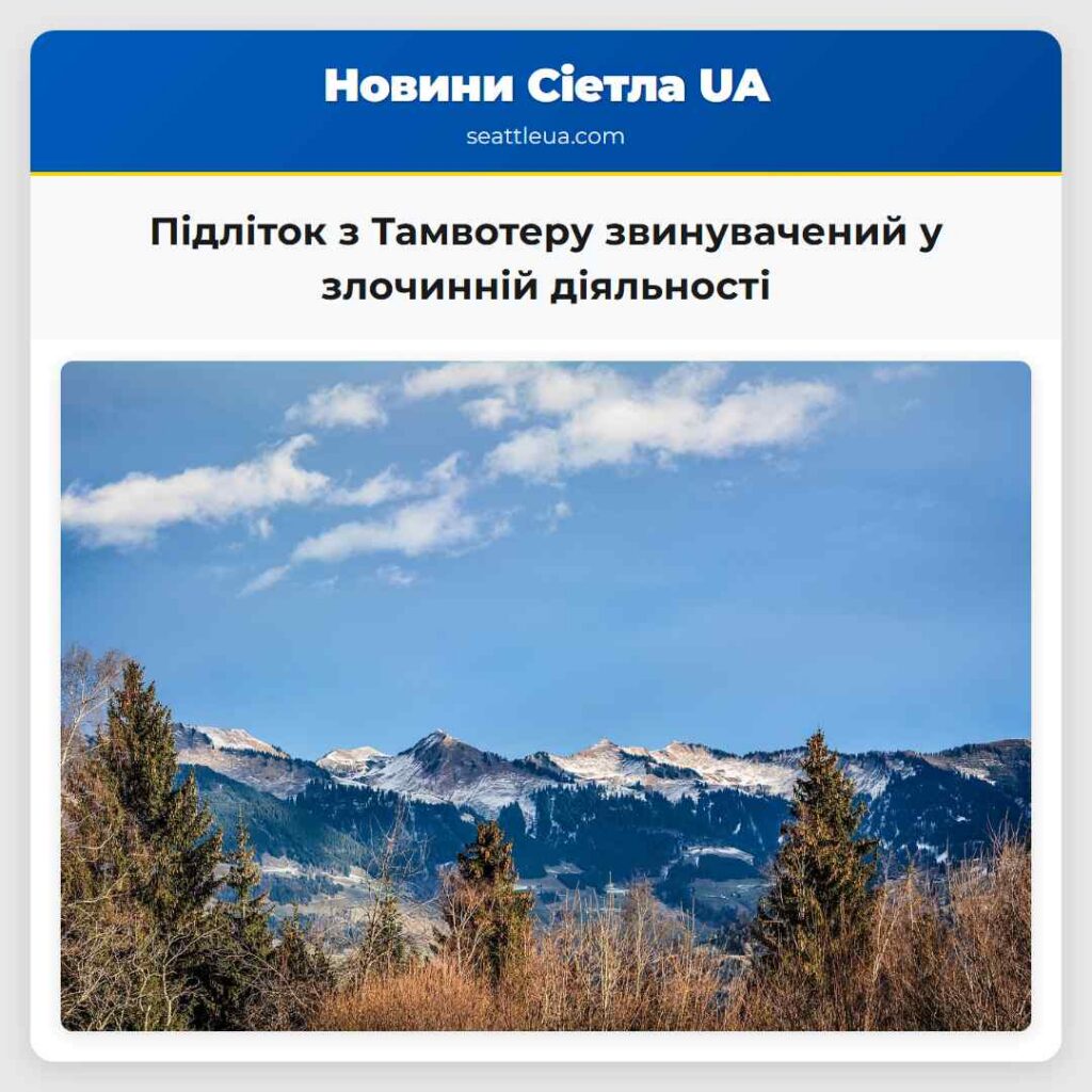 Підліток з Тамвотеру звинувачений у злочинній