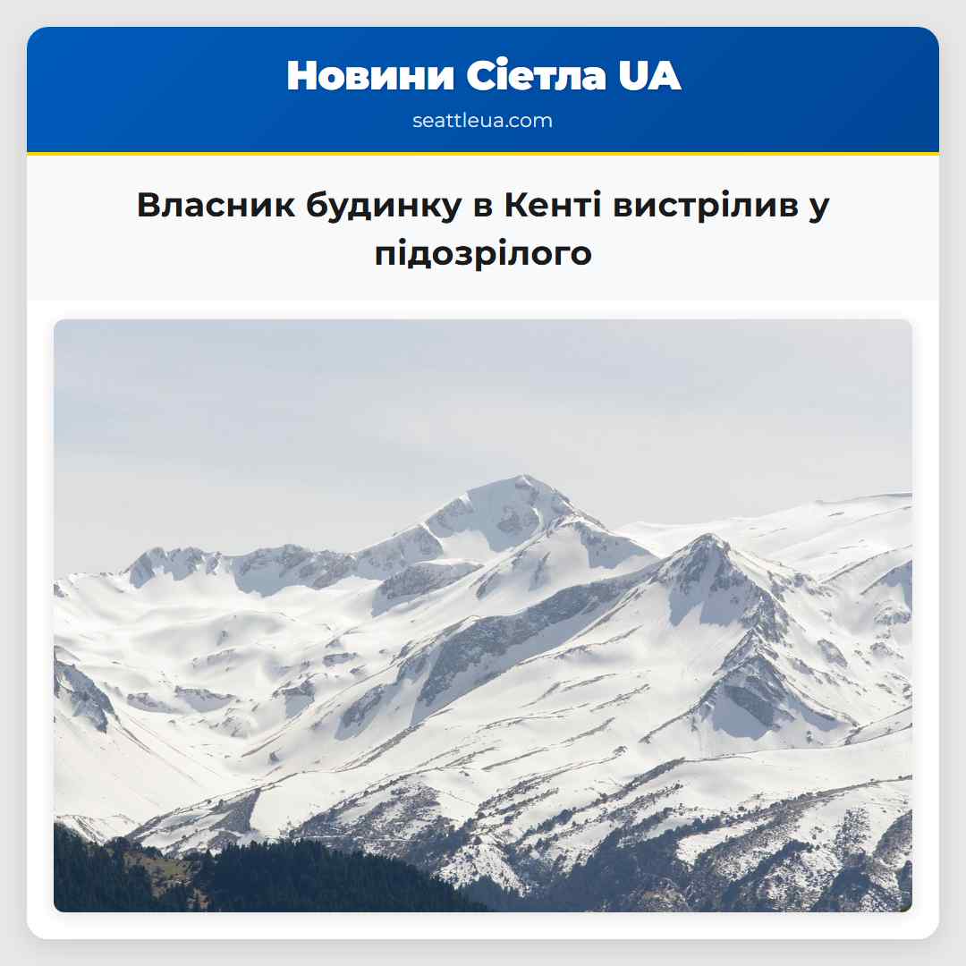 Власник будинку в Кенті вистрілив у підозрілого