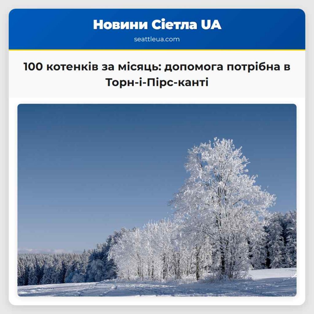 100 котенків за місяць: допомога потрібна в