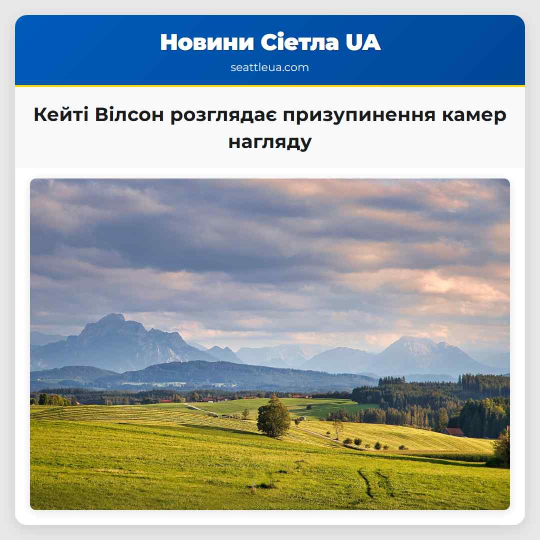 Кейті Вілсон розглядає призупинення камер нагляду
