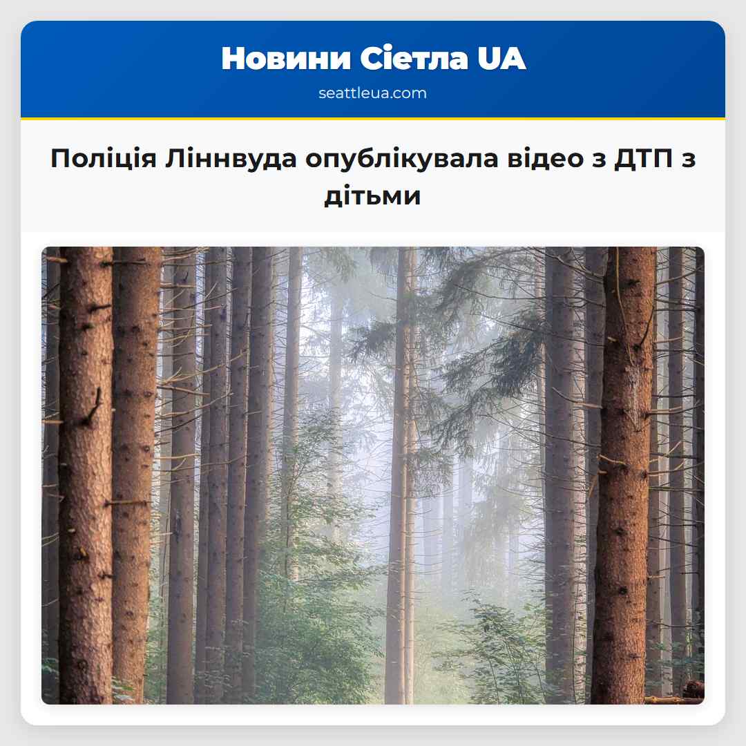 Поліція Ліннвуда опублікувала відео з ДТП з дітьми