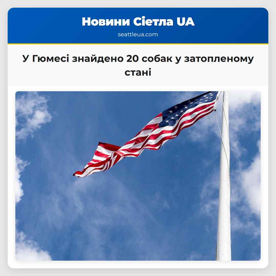 У Гюмесі знайдено 20 собак у затопленому стані