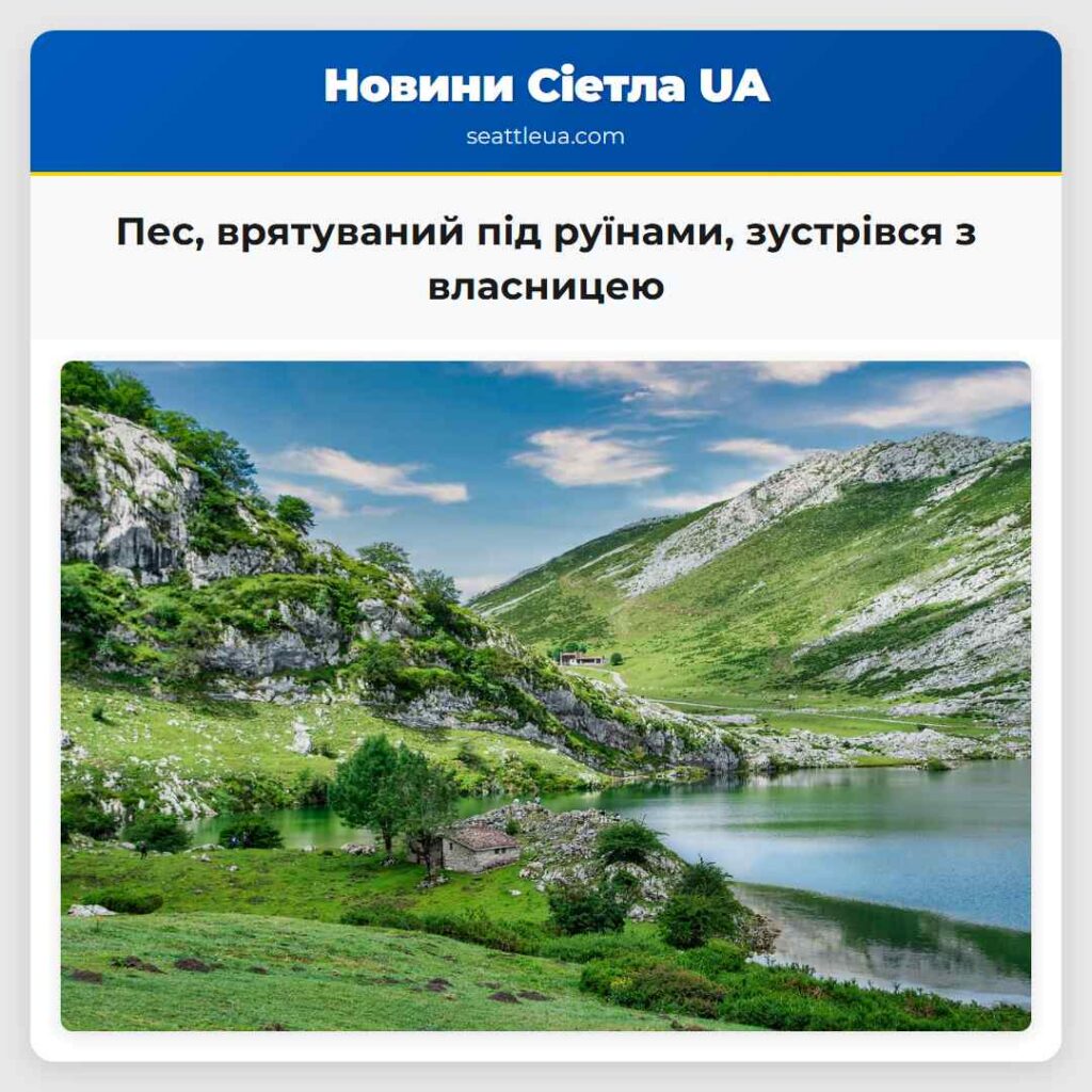 Пес, врятуваний під руїнами, зустрівся з власницею