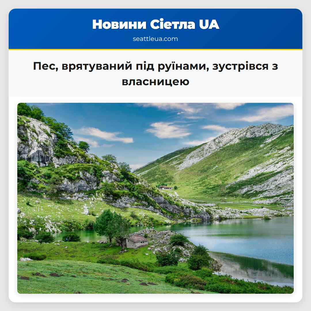 Пес, врятуваний під руїнами, зустрівся з власницею