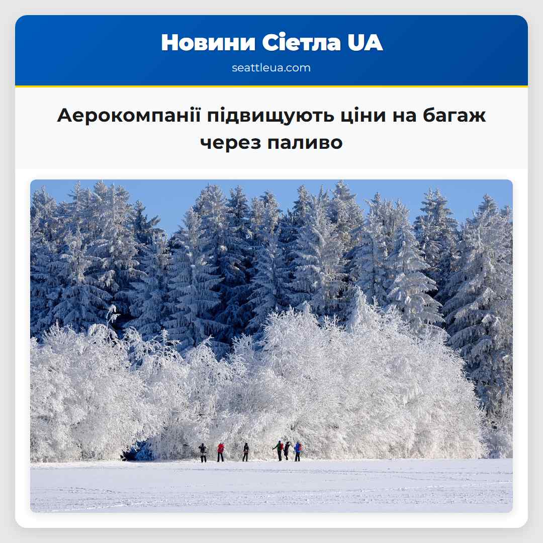 Аерокомпанії підвищують ціни на багаж через паливо