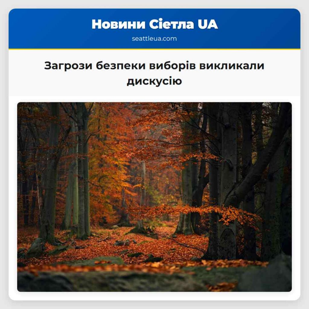 Загрози безпеки виборів викликали дискусію