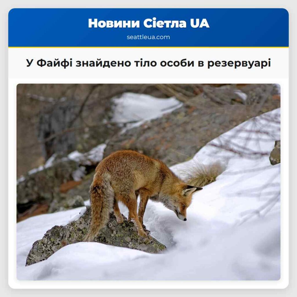 У Файфі знайдено тіло особи в резервуарі