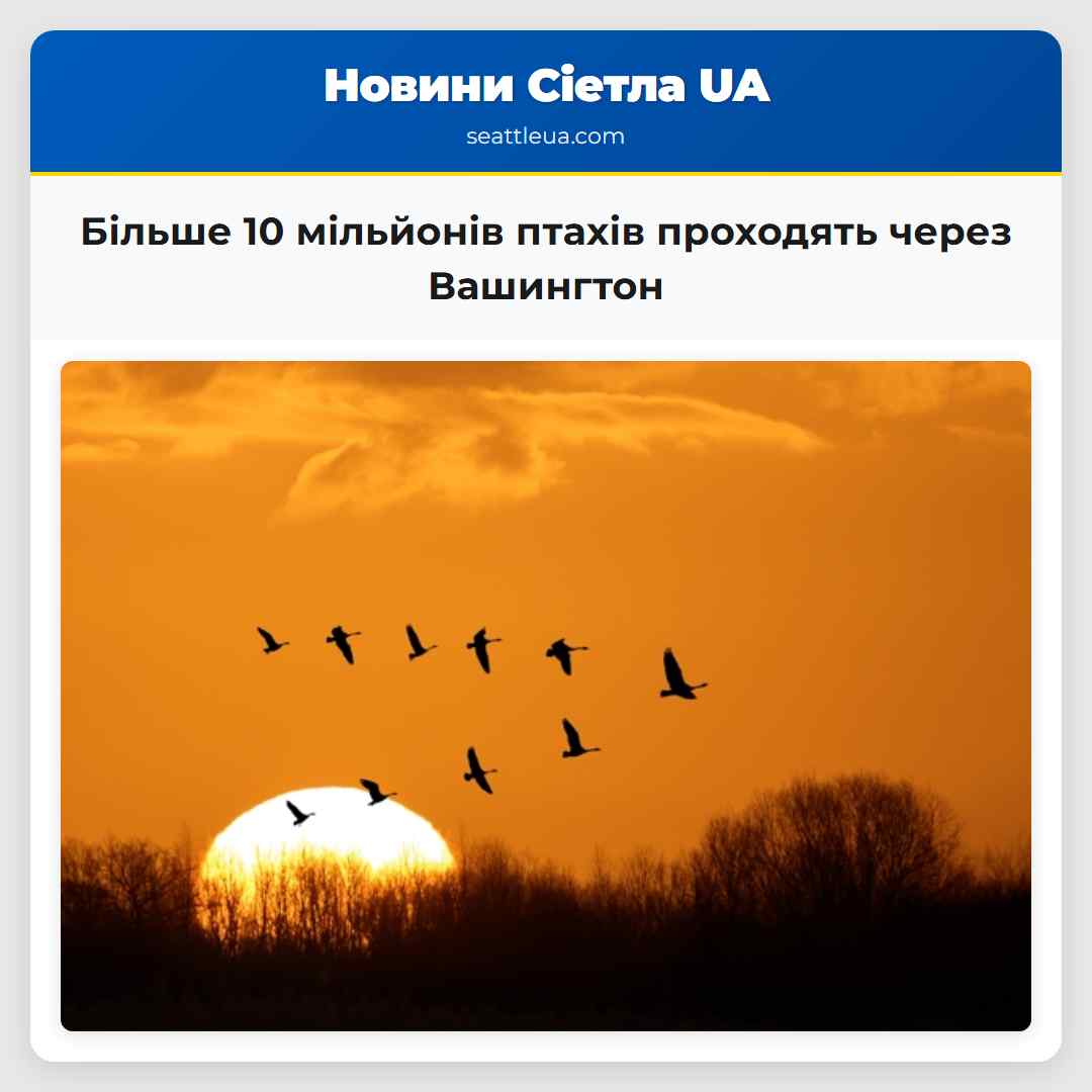 Більше 10 мільйонів птахів проходять через