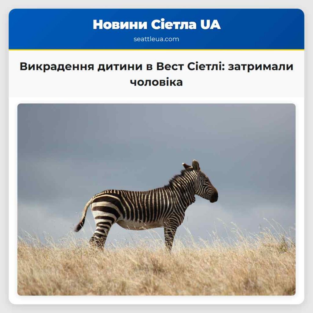 Викрадення дитини в Вест Сіетлі: затримали