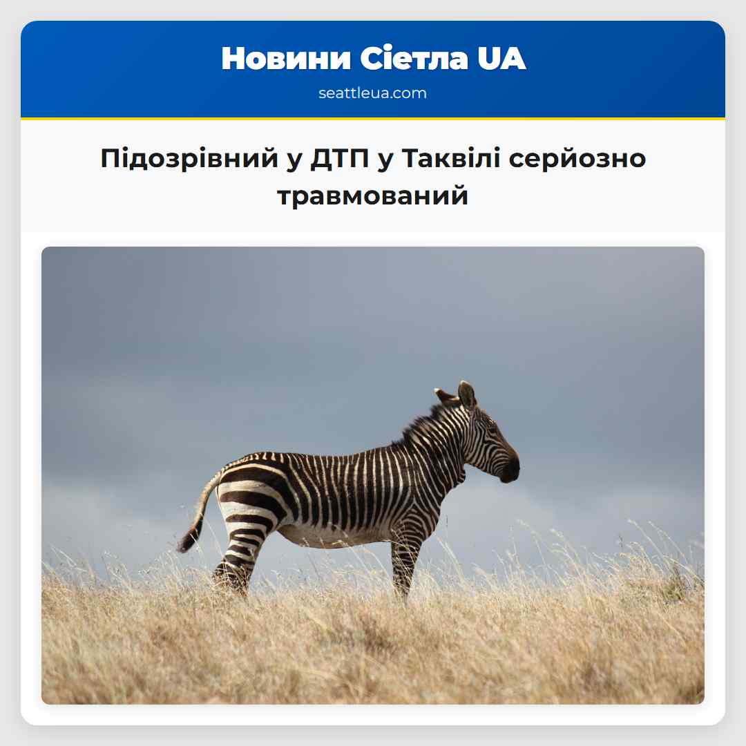 Підозрівний у ДТП у Таквілі серйозно травмований