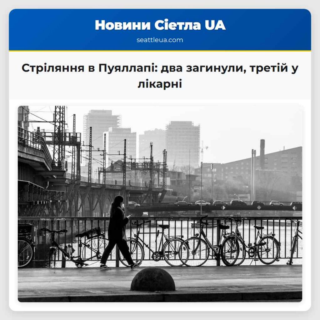 Стріляння в Пуяллапі: два загинули, третій у