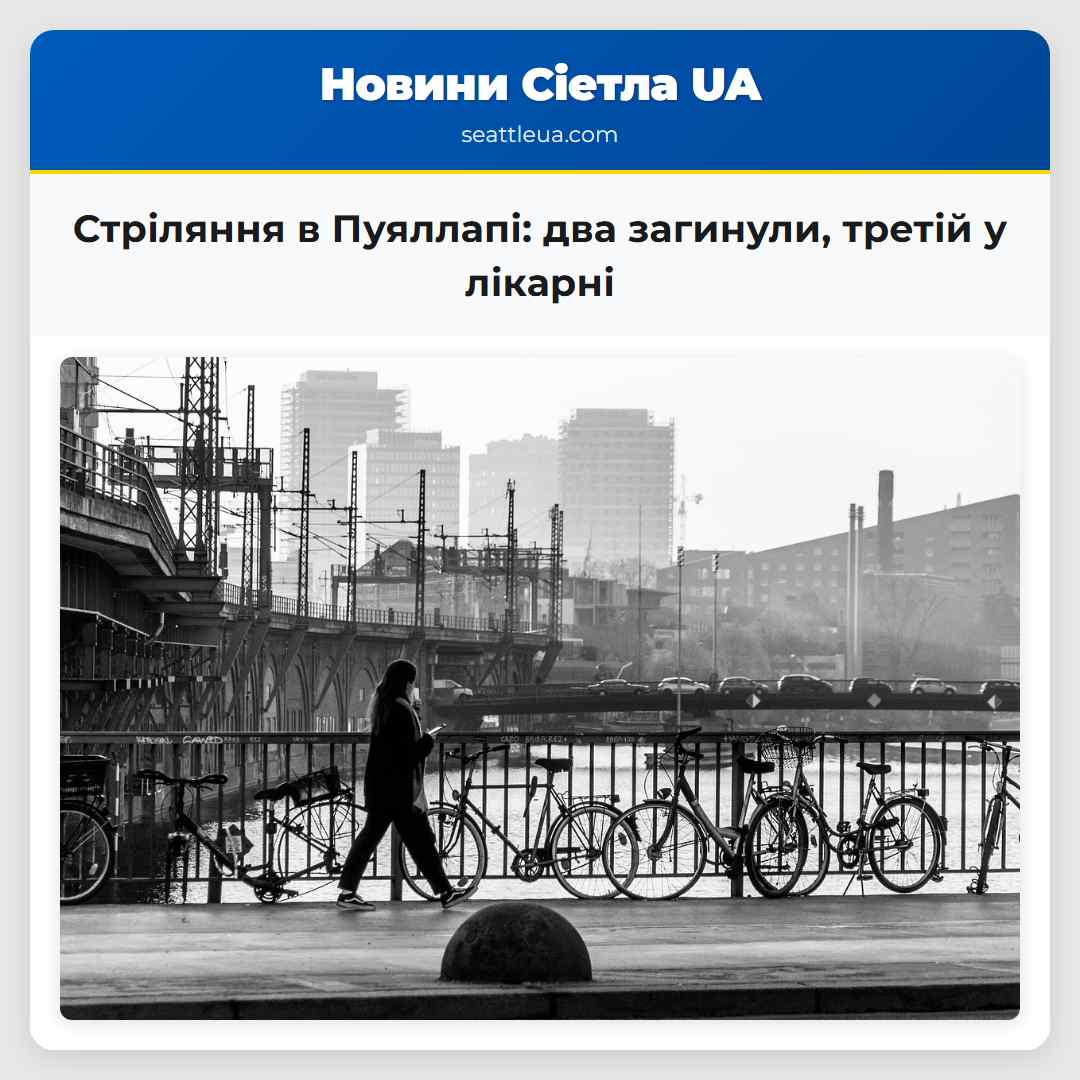 Стріляння в Пуяллапі: два загинули, третій у