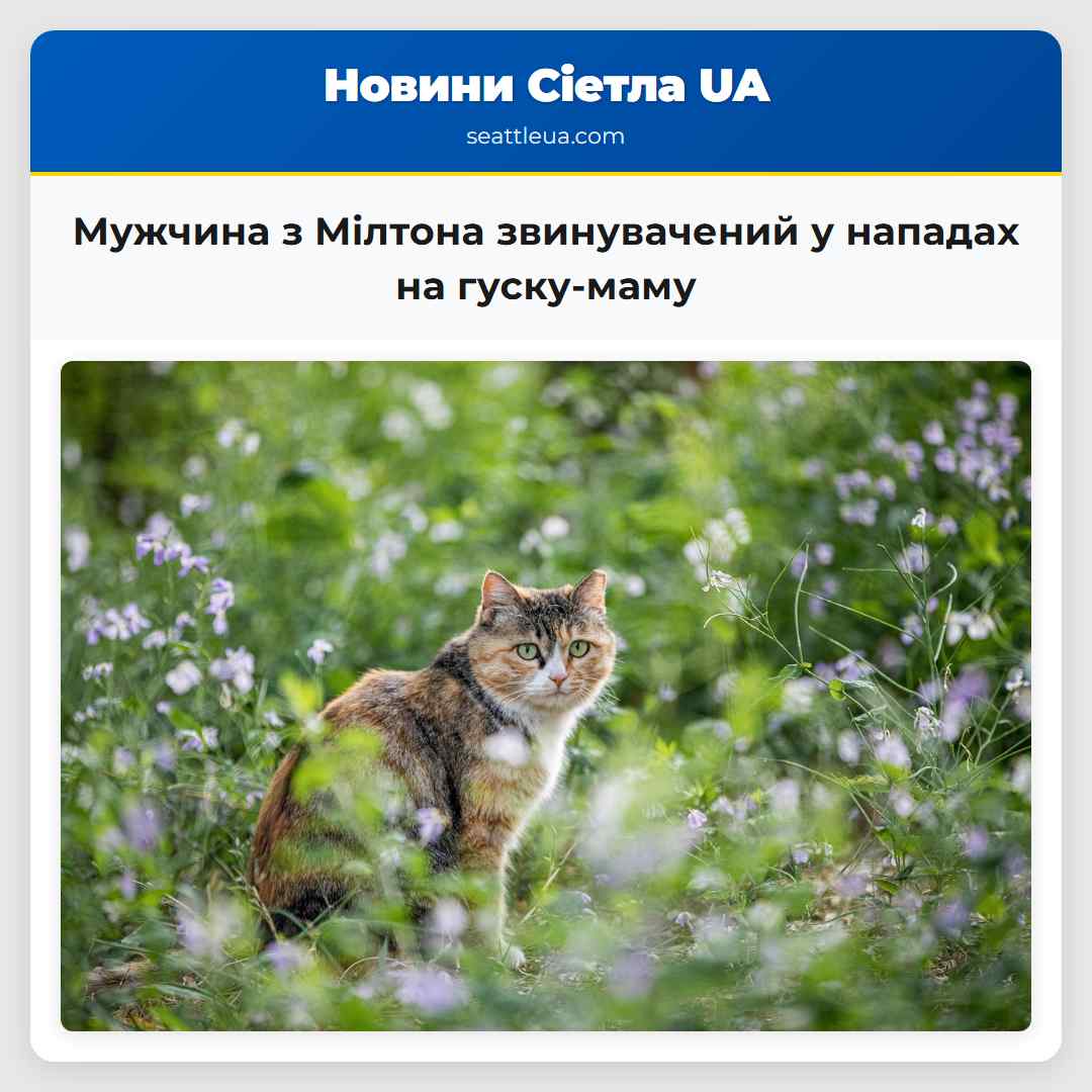 Мужчина з Мілтона звинувачений у нападах на