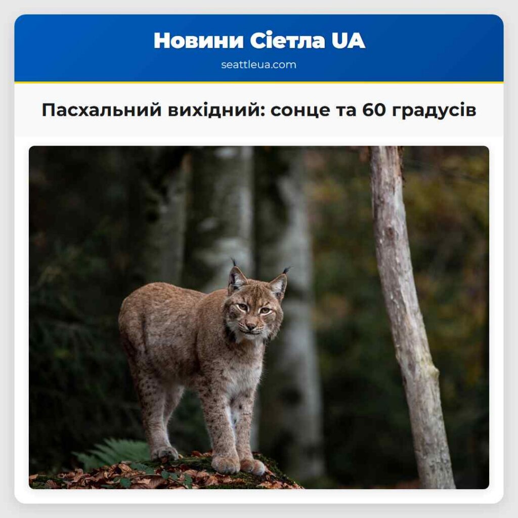 Пасхальний вихідний: сонце та 60 градусів