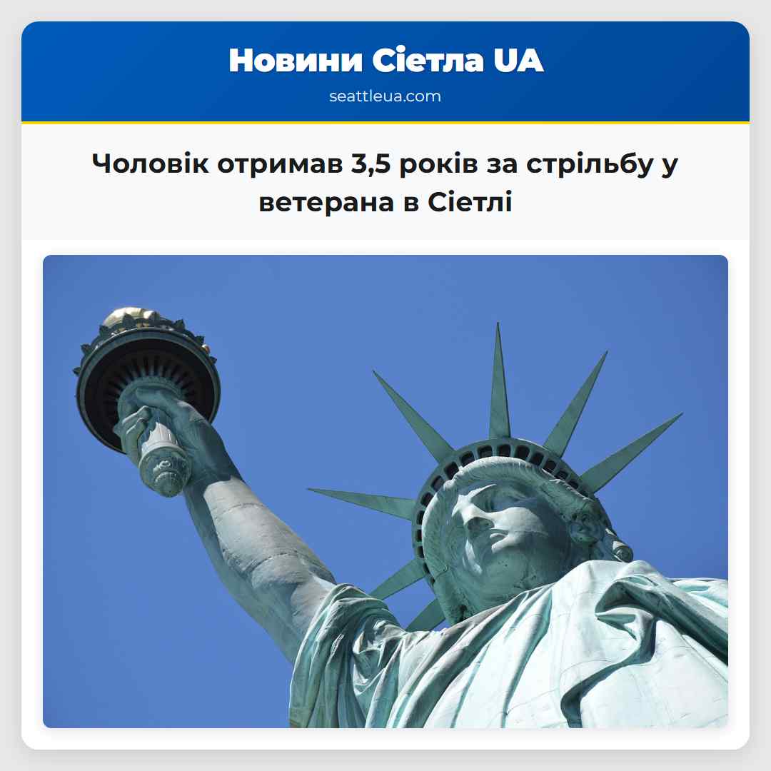 Чоловік отримав 3,5 років за стрільбу у ветерана