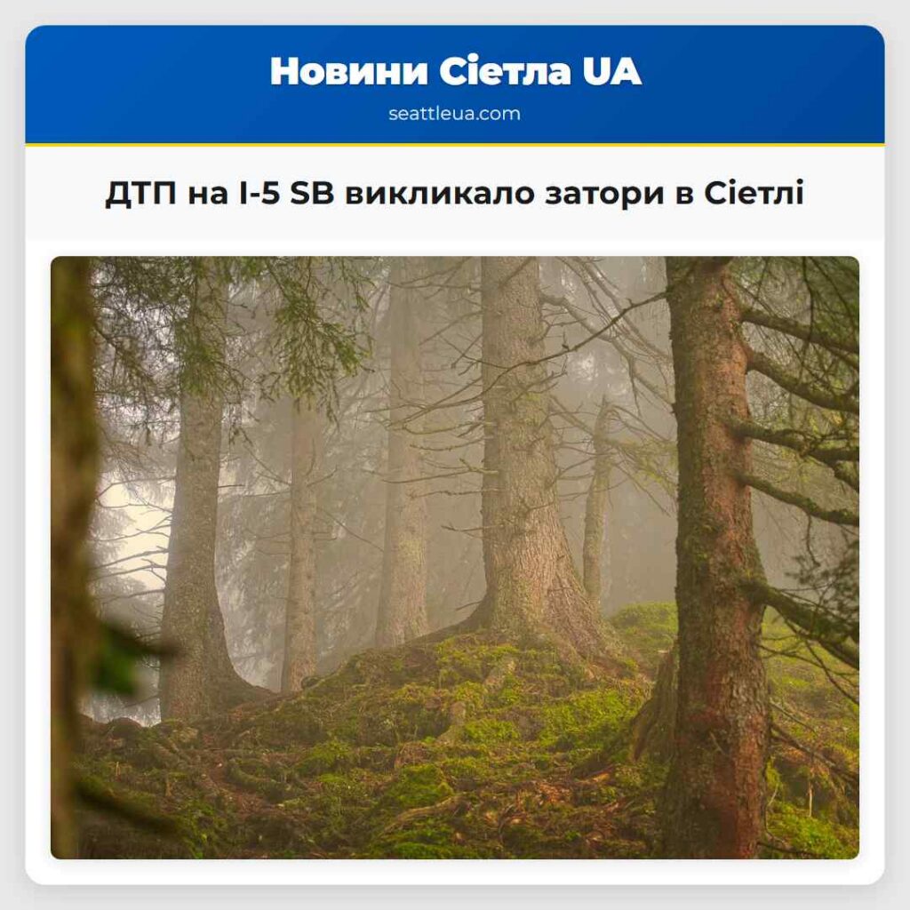 ДТП на I-5 SB викликало затори в Сіетлі