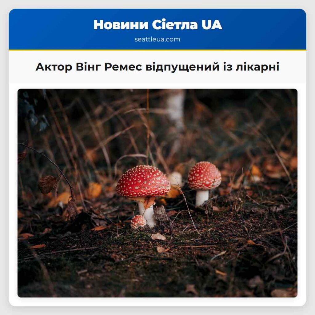 Актор Вінг Ремес відпущений із лікарні