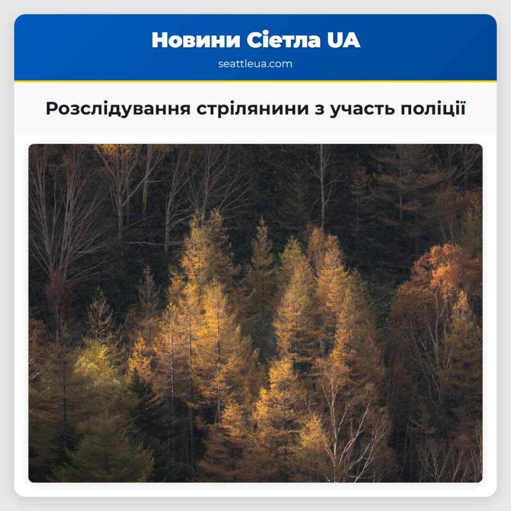 Розслідування стрілянини з участь поліції