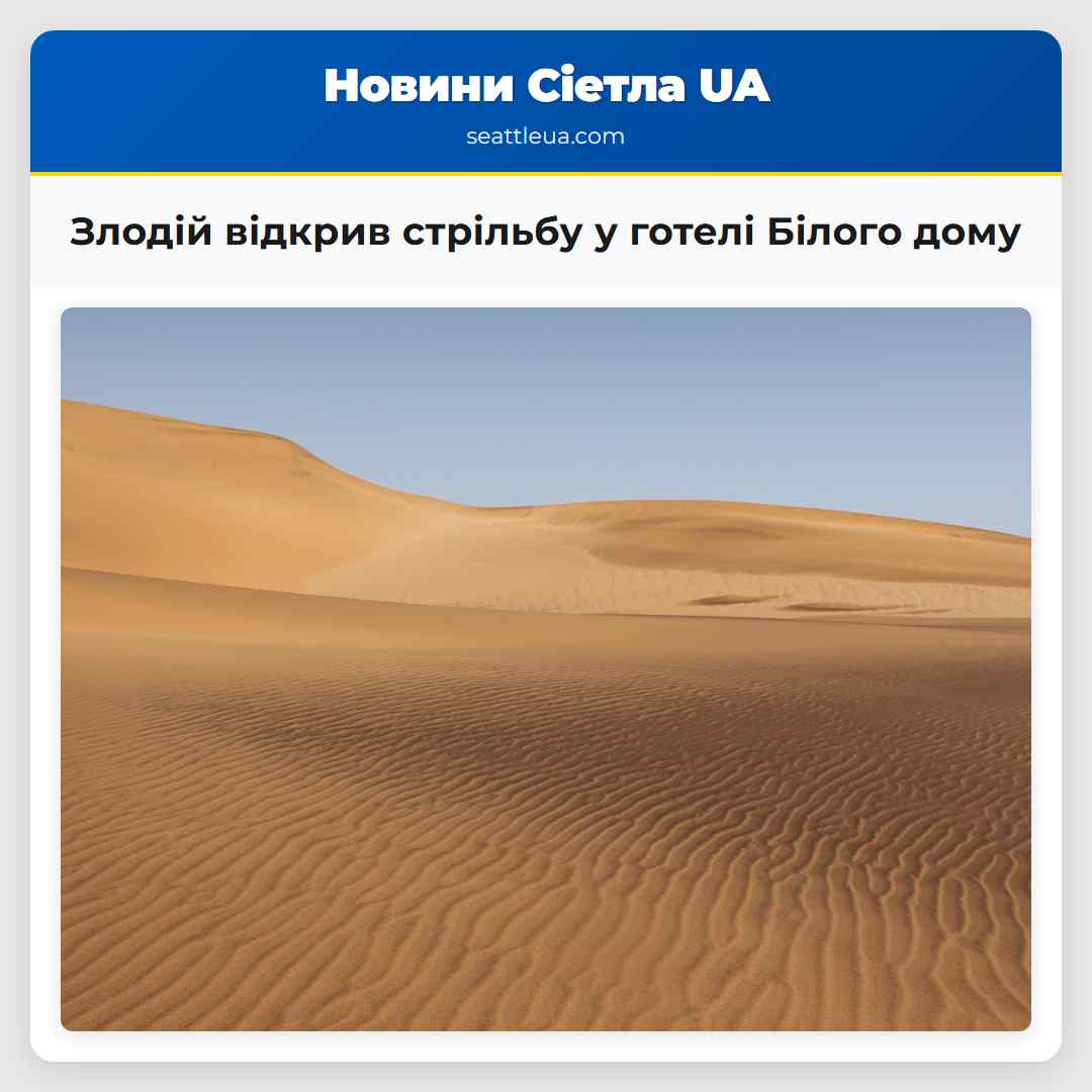 Злодій відкрив стрільбу у готелі Білого дому