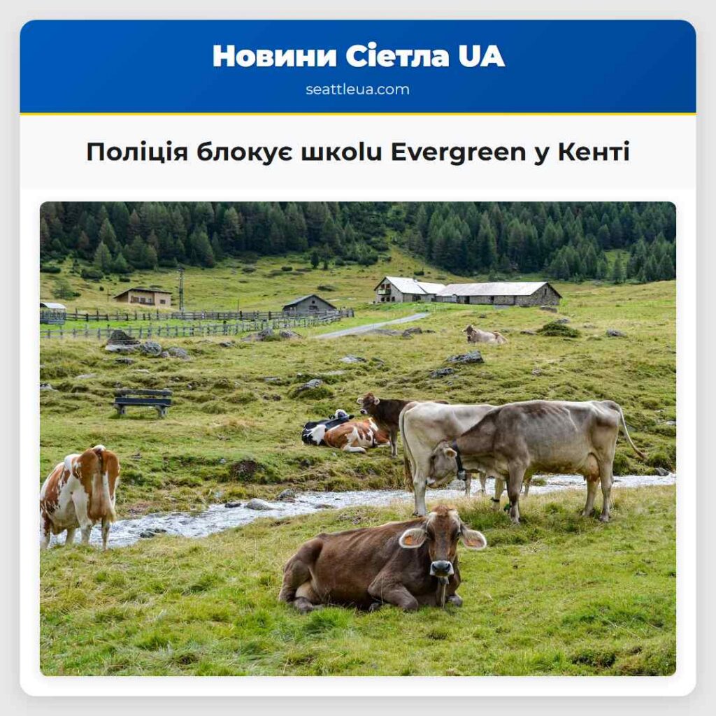 Поліція блокує шкolu Evergreen у Кенті