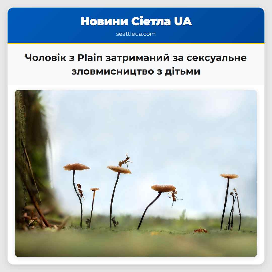 Чоловік з Plain затриманий за сексуальне