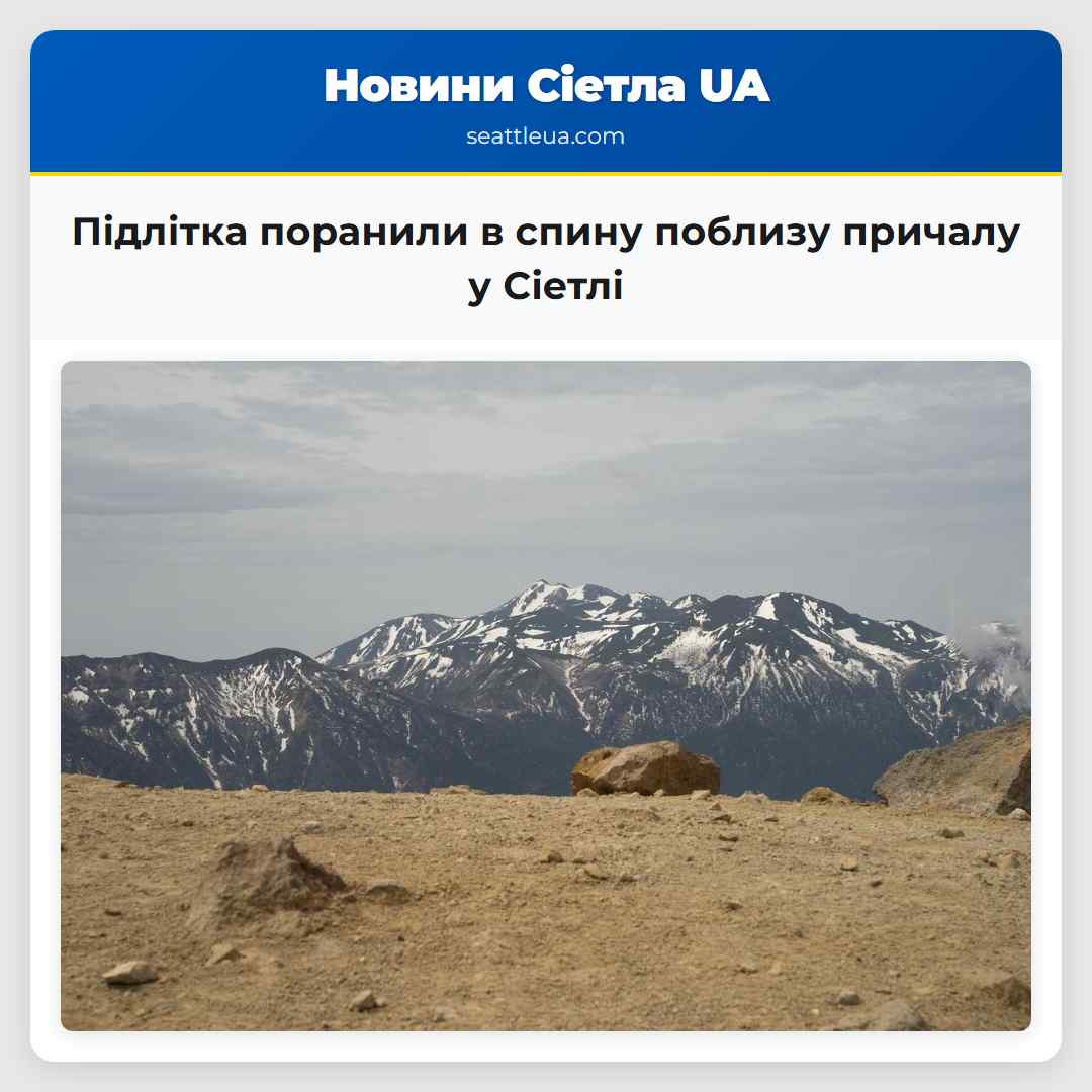 Підлітка поранили в спину поблизу причалу у Сіетлі